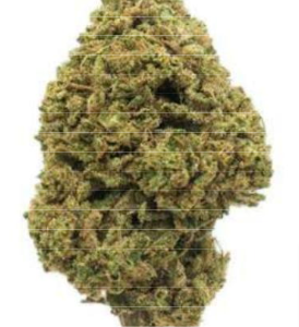 Super Silver Haze CBD Flower